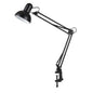 Adjustable Clamp-Mount Desk Lamp