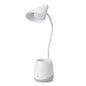 LED Gooseneck Desk Lamp with Pen & Phone Holder